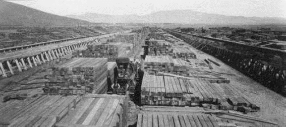 Black and white image of a lumber yard taken in the early 1900s